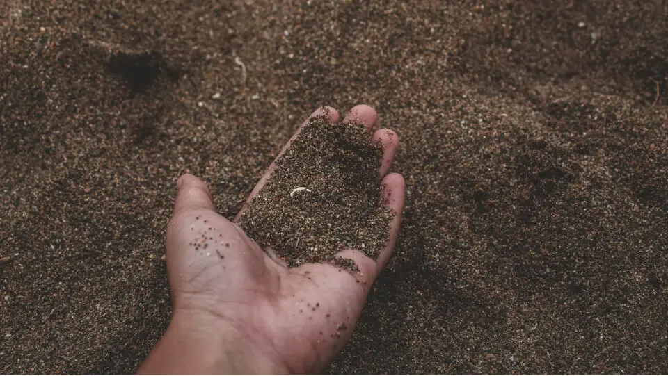 Fill Dirt (Screened & Unscreened)
